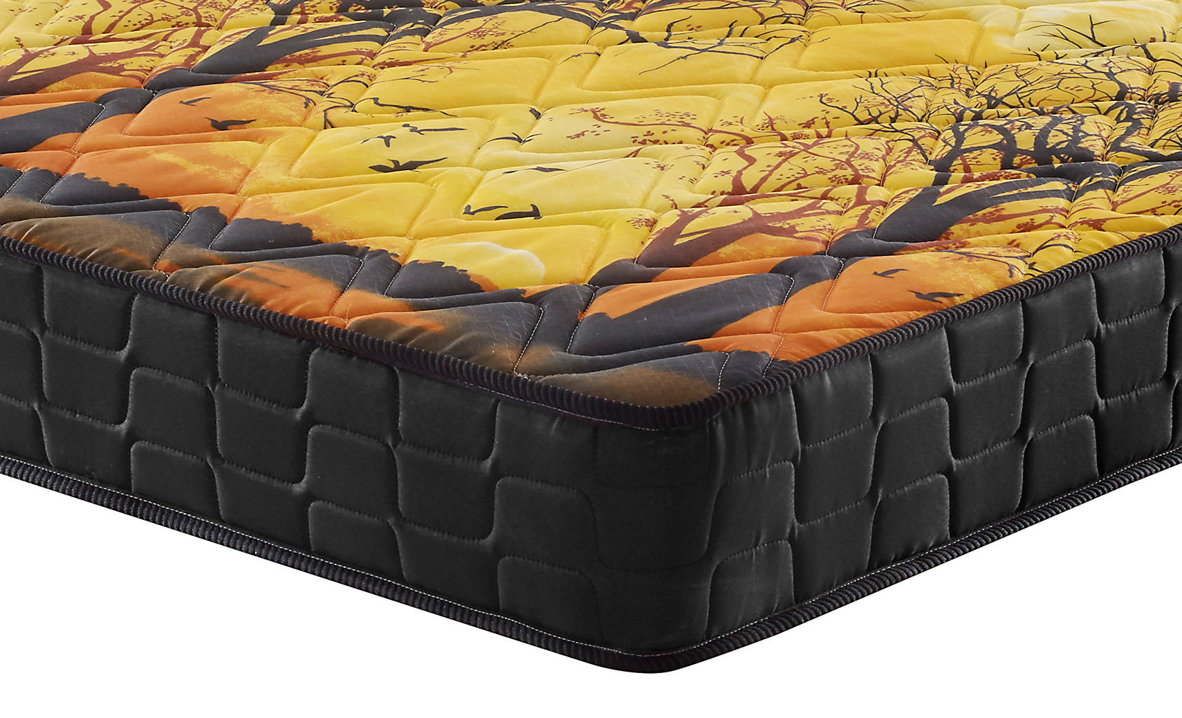 Pantanal D28/D70 - Imagem 2